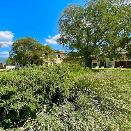 Exclusive Pool-open All Year-spoleto Biofarm-slps 8-village Shops, Bar1 Km 6 农家乐 Poreta